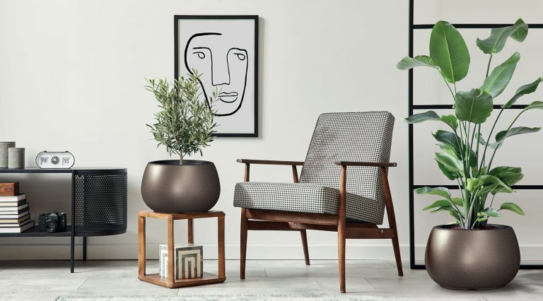 Der beste Blumentopf Shop im Vergleich: Warum Tymar die richtige Wahl für Ihre Pflanzen ist